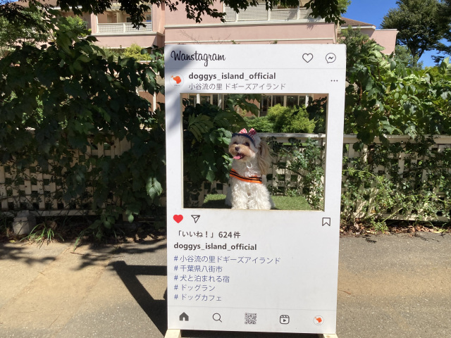 15:00　フォトスポットを巡り&帰路へ