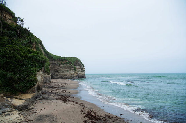 ドン･ロドリゴ上陸の地(田尻海岸)