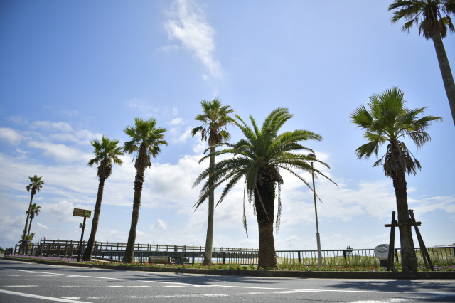 御宿町中央海水浴場