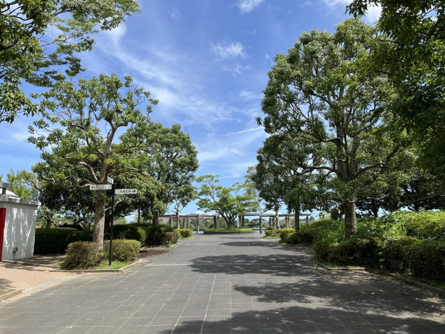 ふれあい坂田池公園