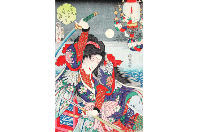 犬坂毛野 胤智（いぬさかけの たねとも）