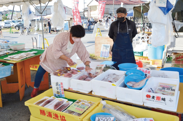 外房の海と南房総の里山の自然を味わうドライブコース
