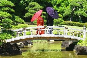 新規３：都会で体験！日本の伝統文化～呈茶と池泉回遊式庭園の楽しみかたを知る～