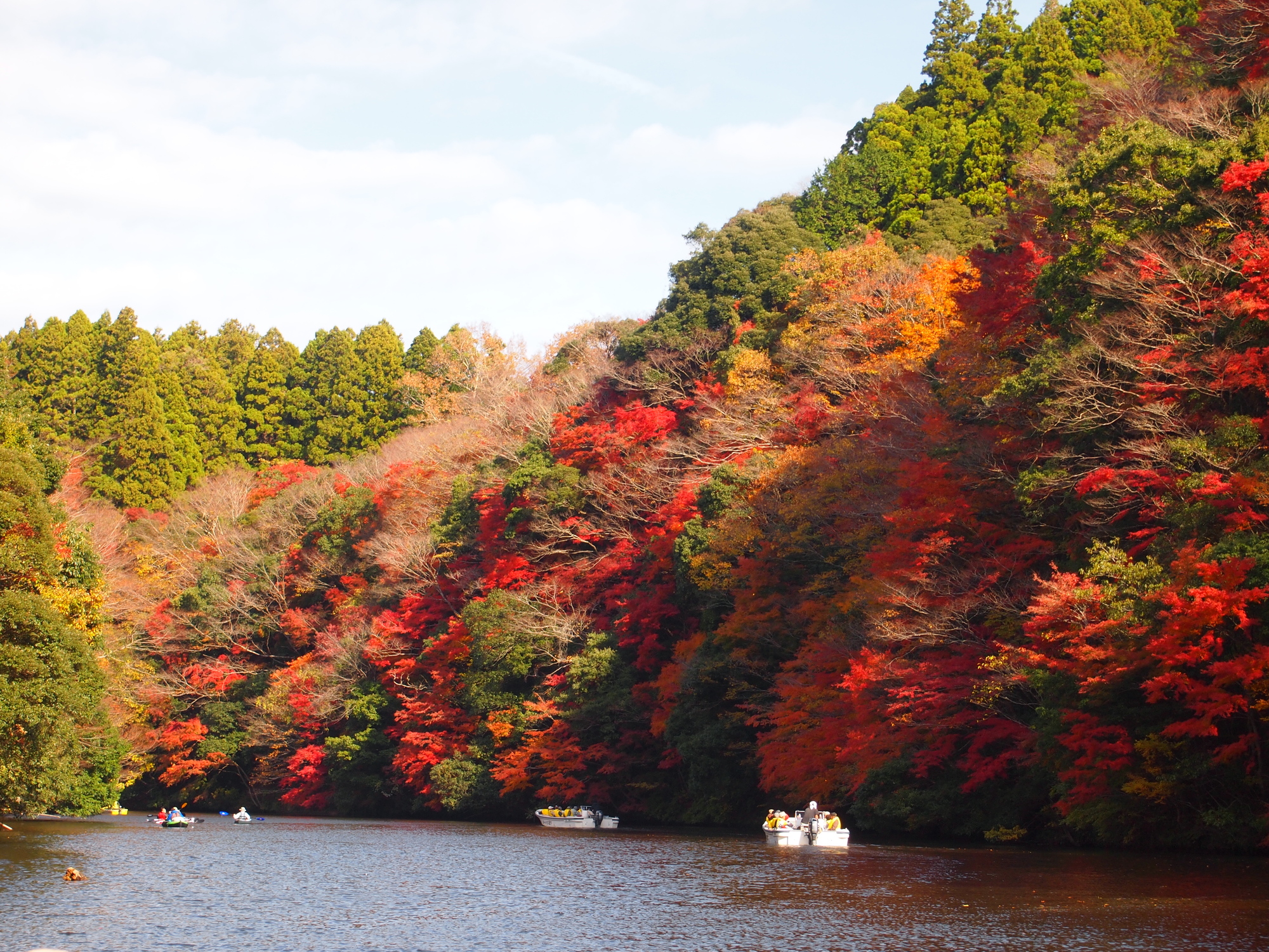 亀山湖で紅葉クルーズ！