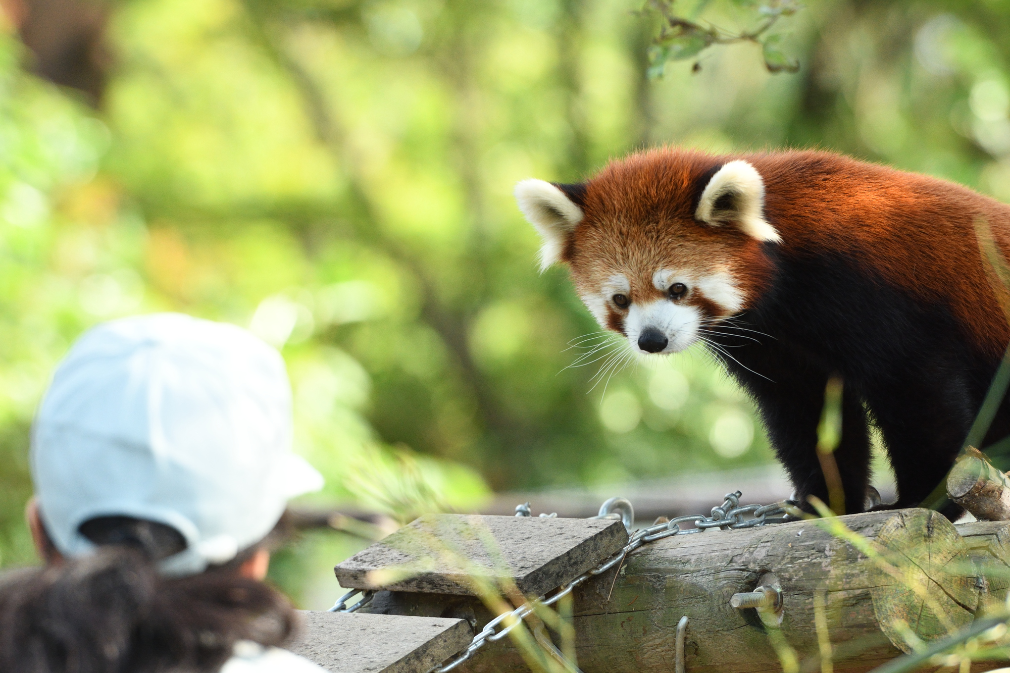 動物たちと過ごす、しあわせ時間