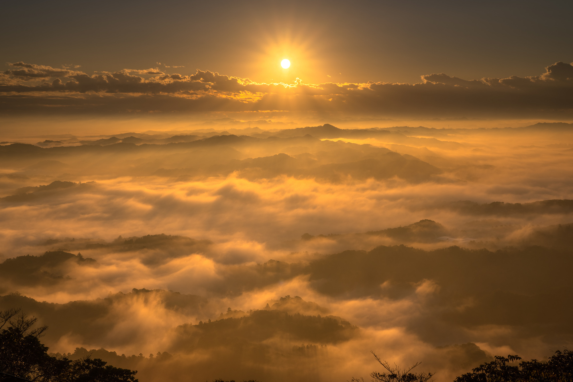 “映え”に出会う、千葉のフォト旅