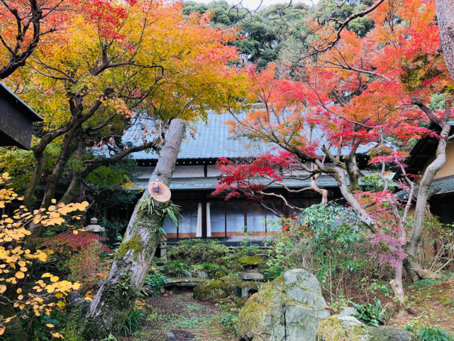 長谷山 本土寺