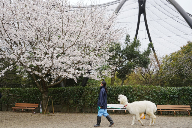 市川市動植物園