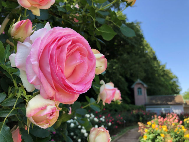 市川市動植物園