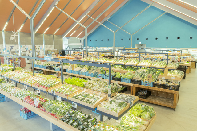 道の駅 しょうなん