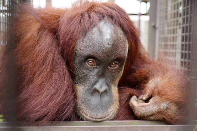 市川市動植物園