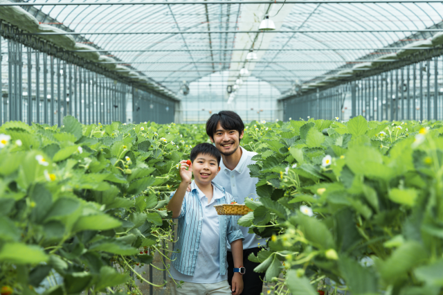 農園リゾートTHE FARM