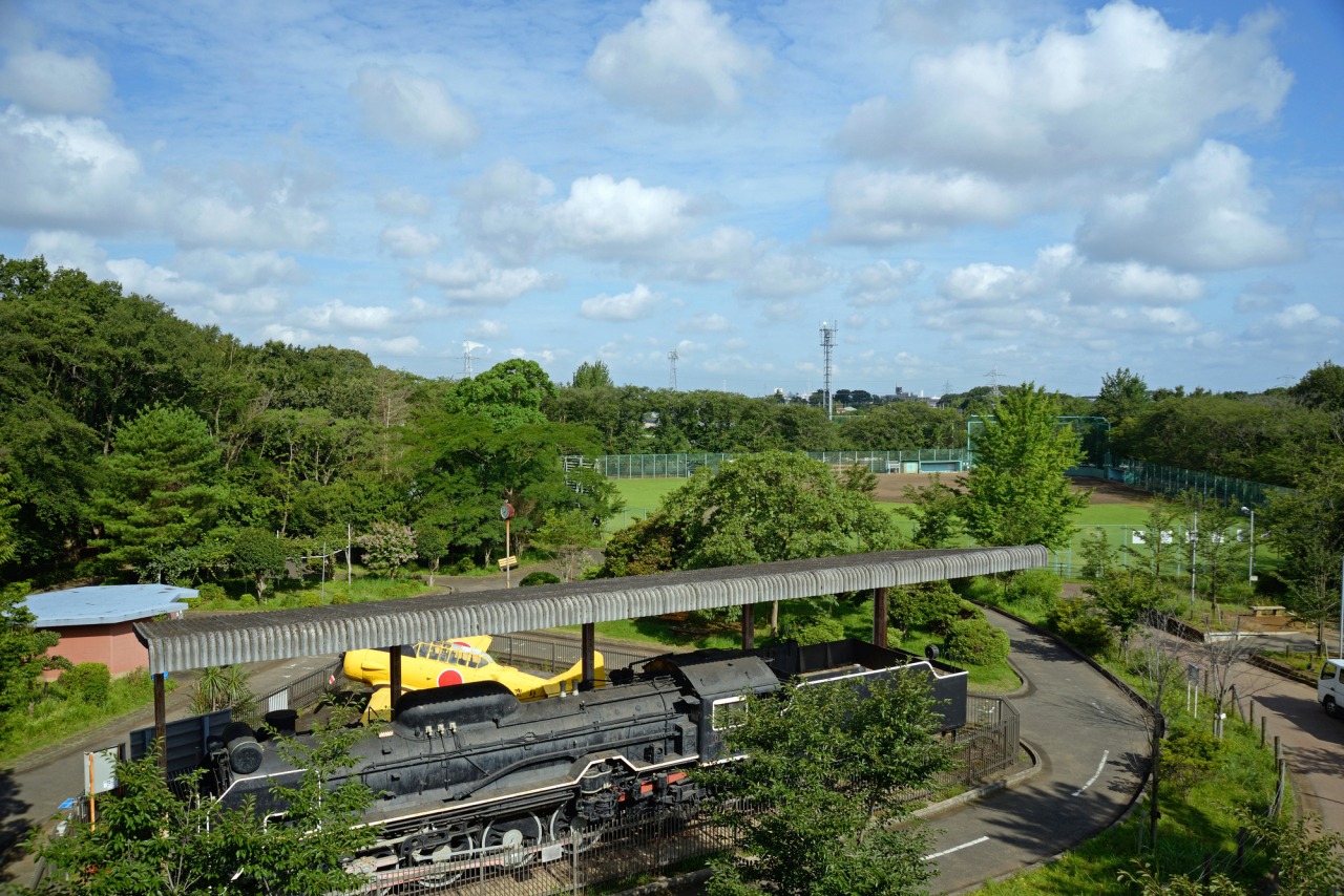 市制記念公園の混雑・遊具・駐車場ガイド【2026年最新の見どころ徹底解剖】
