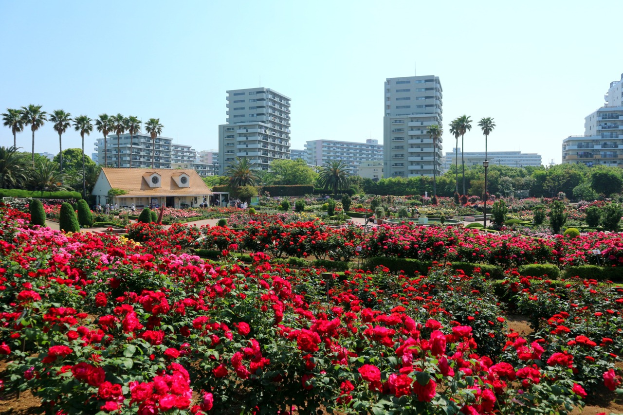 谷津バラ園