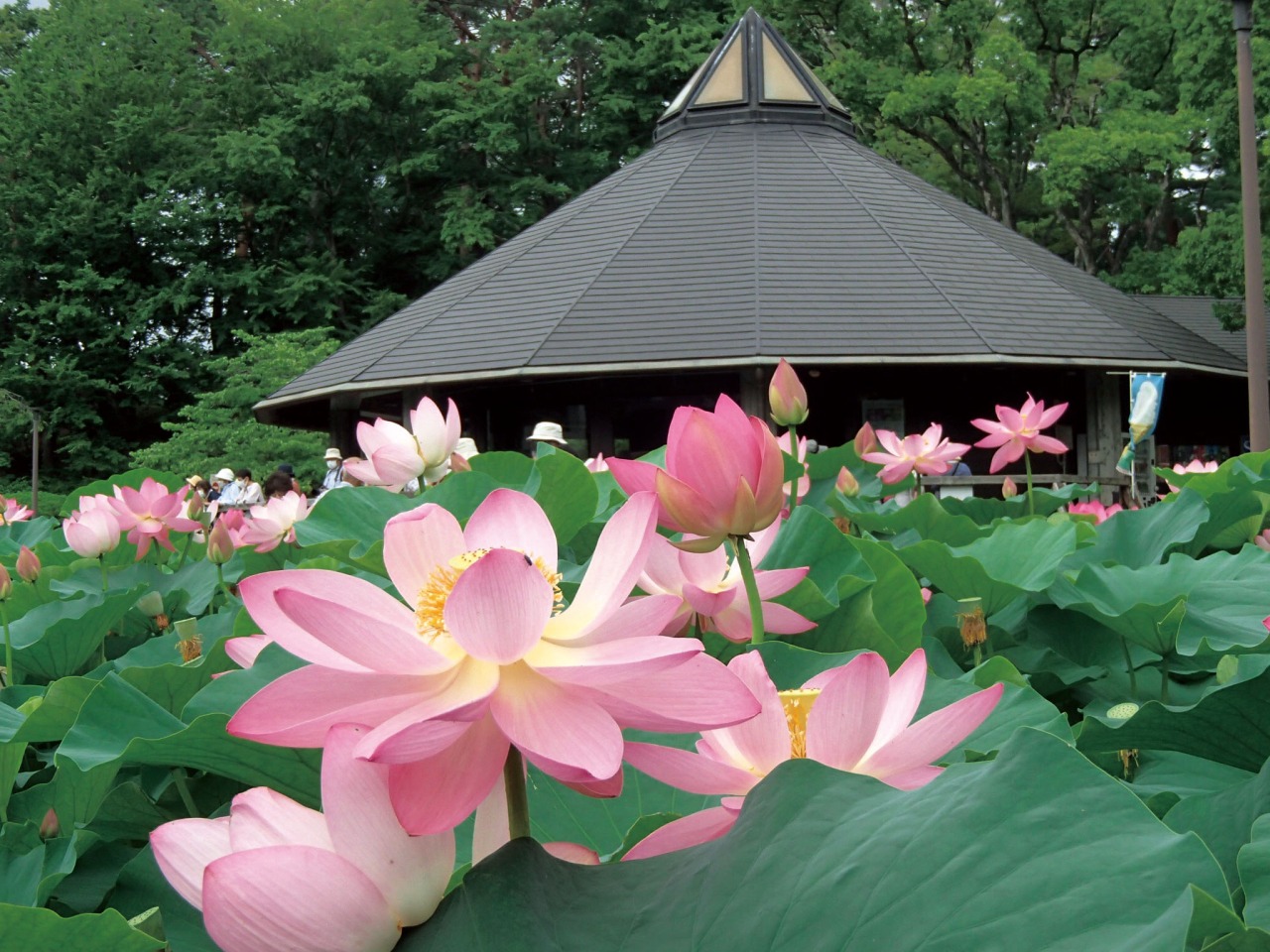 千葉公園