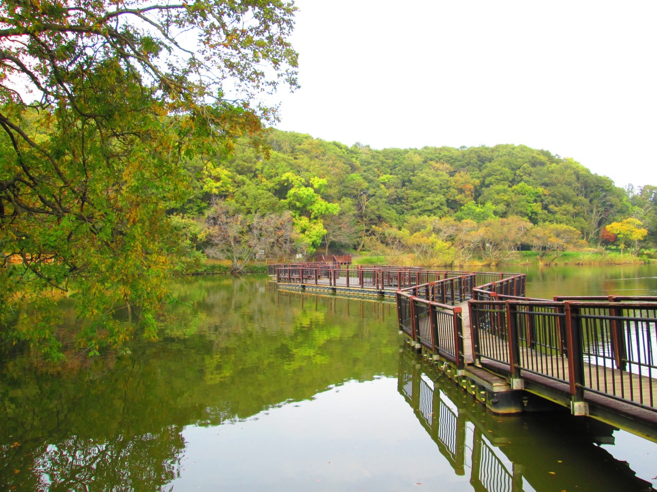 坂田 ヶ 池 総合 公園