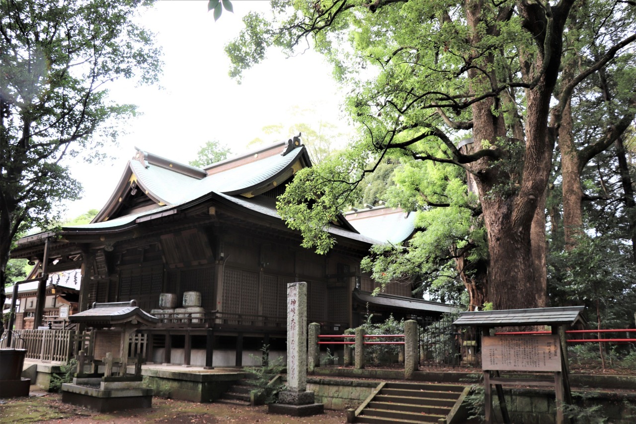 神崎神社（なんじゃもんじゃの木）