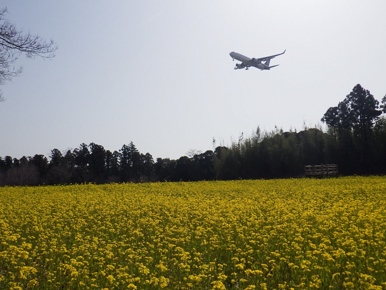 グリーンポートエコ・アグリパーク