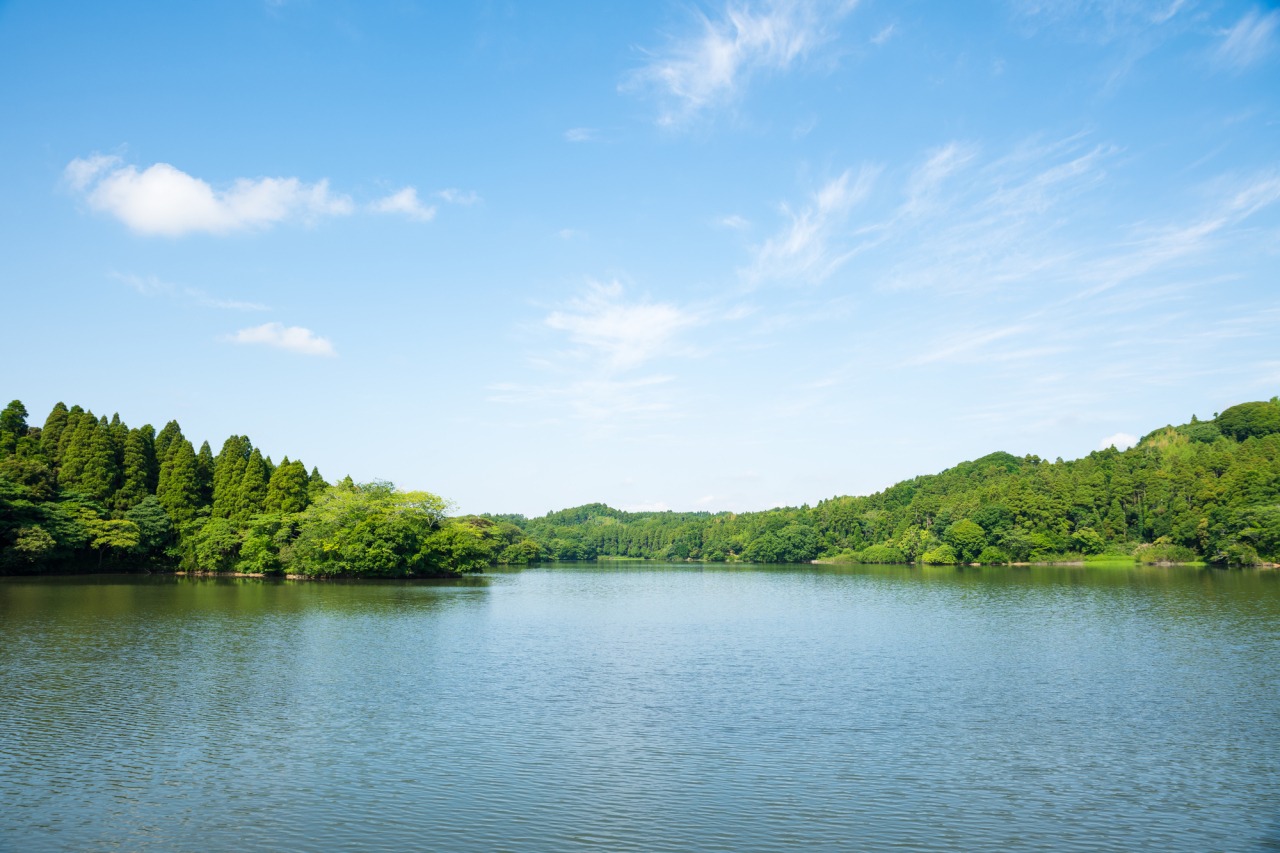 雄 蛇 ヶ 池