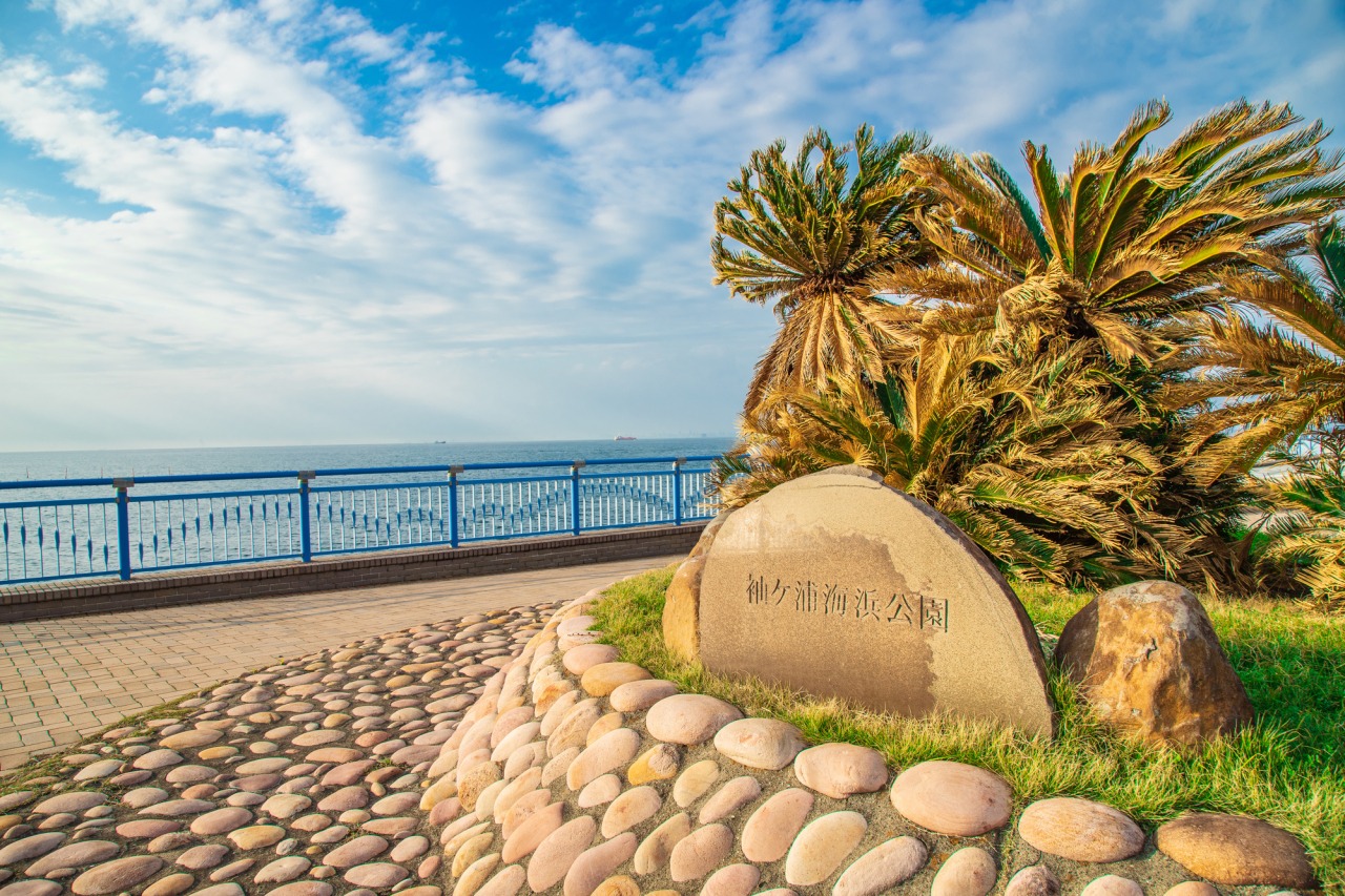 袖ヶ浦 海浜 公園