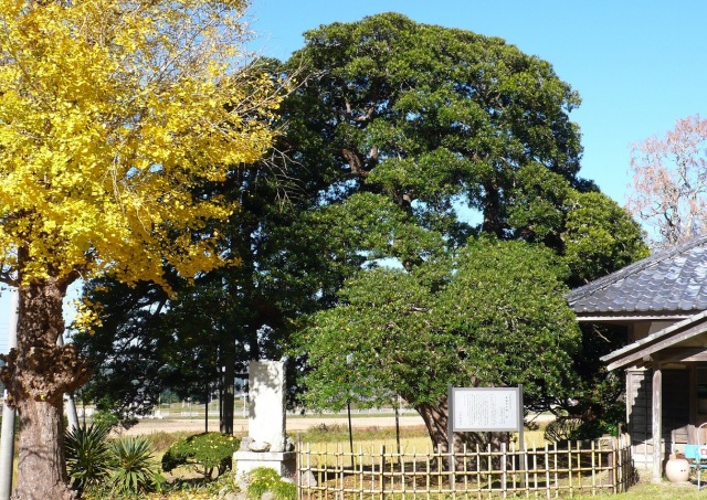 長福寺|スポット・体験|千葉県公式観光サイト ちば観光ナビ