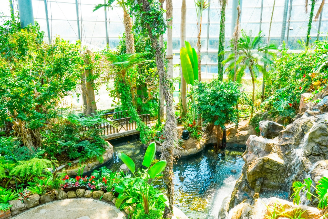 BOTANICA MUSEUM｜スポット・体験｜千葉県公式観光サイト ちば観光ナビ