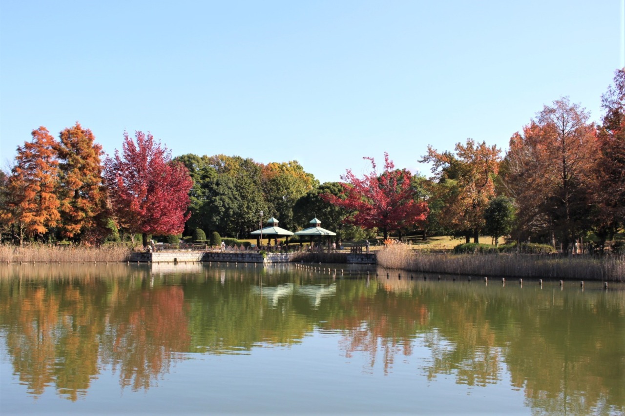 県立柏の葉公園|スポット・体験|千葉県公式観光サイト ちば観光ナビ