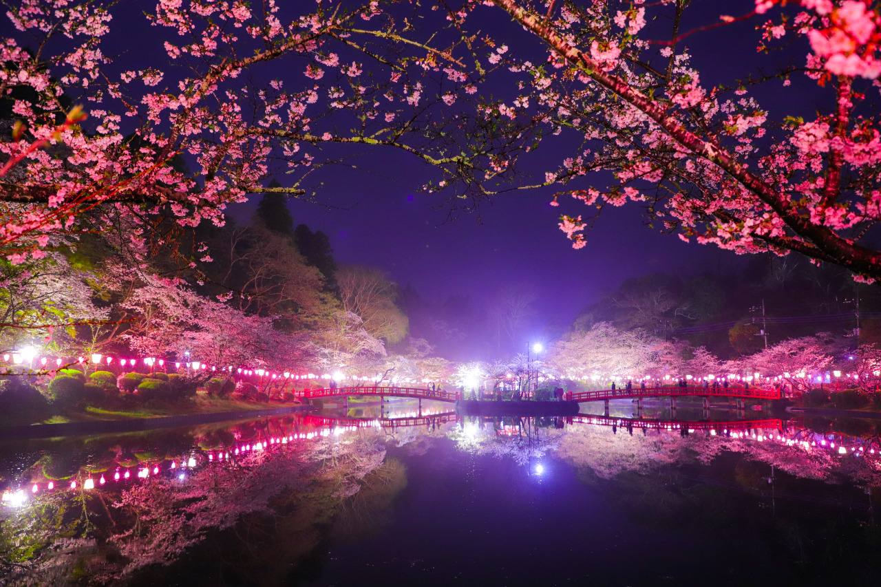 茂原公園|スポット・体験|千葉県公式観光サイト ちば観光ナビ