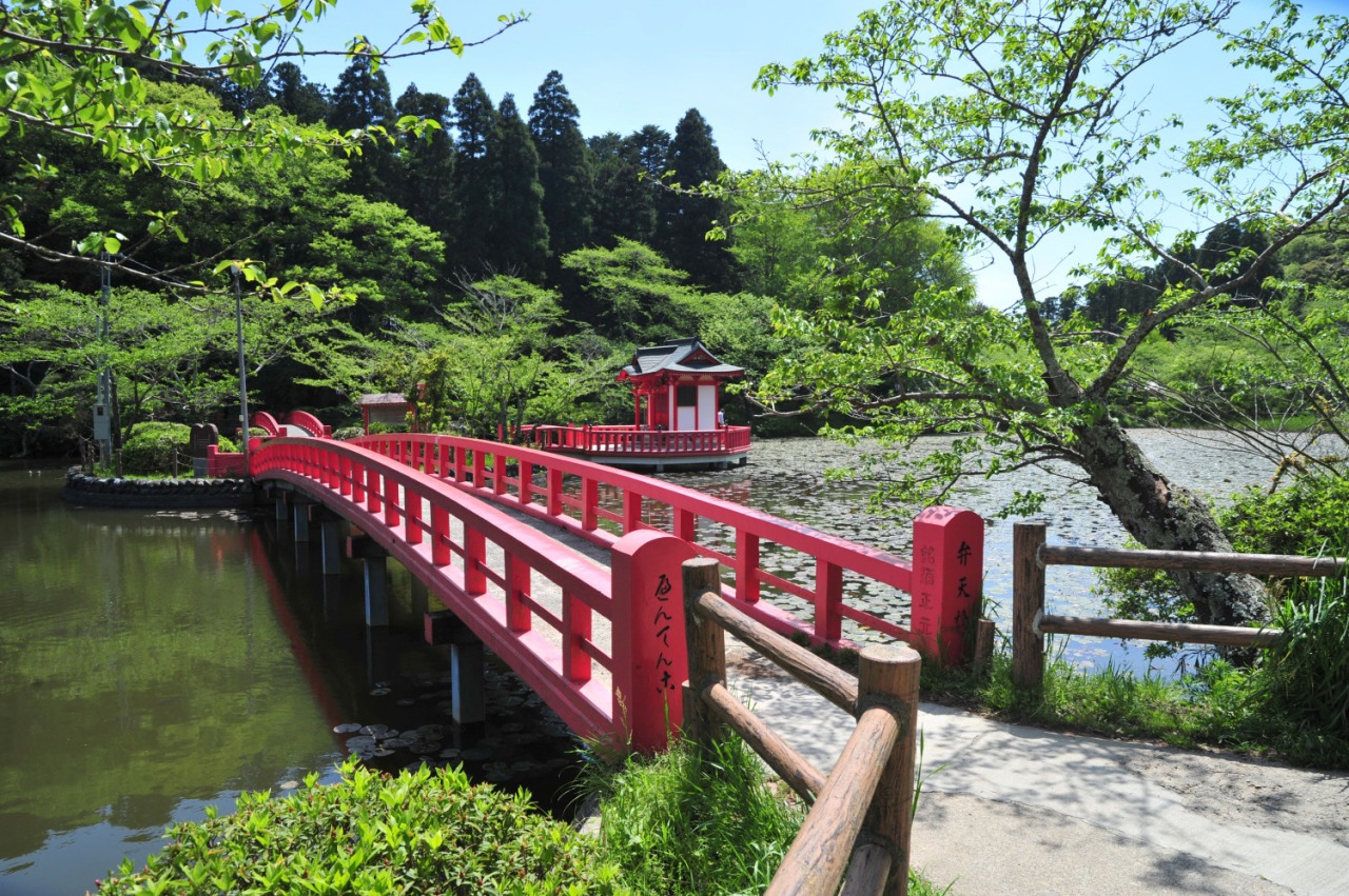茂原公園|スポット・体験|千葉県公式観光サイト ちば観光ナビ