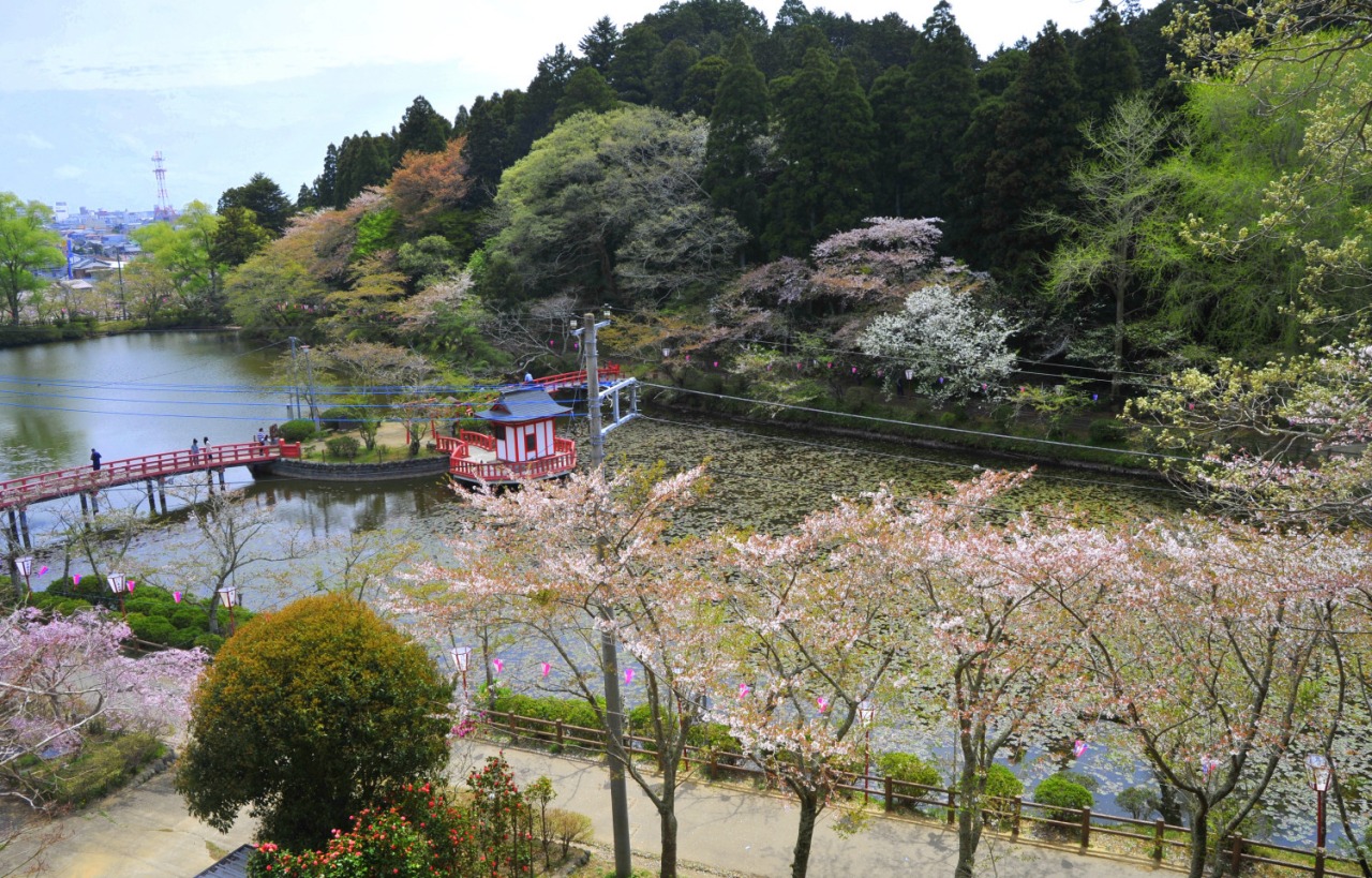 茂原公園|スポット・体験|千葉県公式観光サイト ちば観光ナビ
