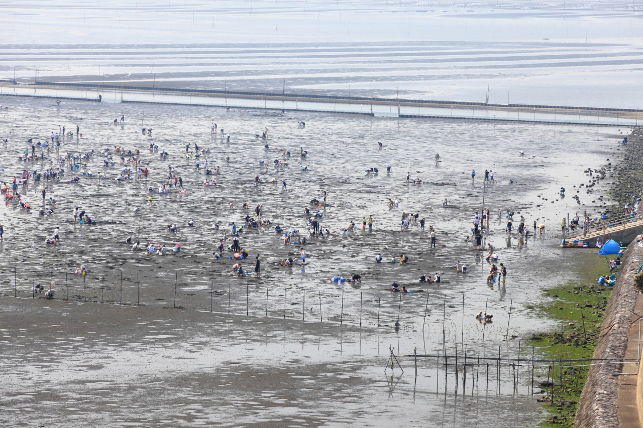 木更津 海岸