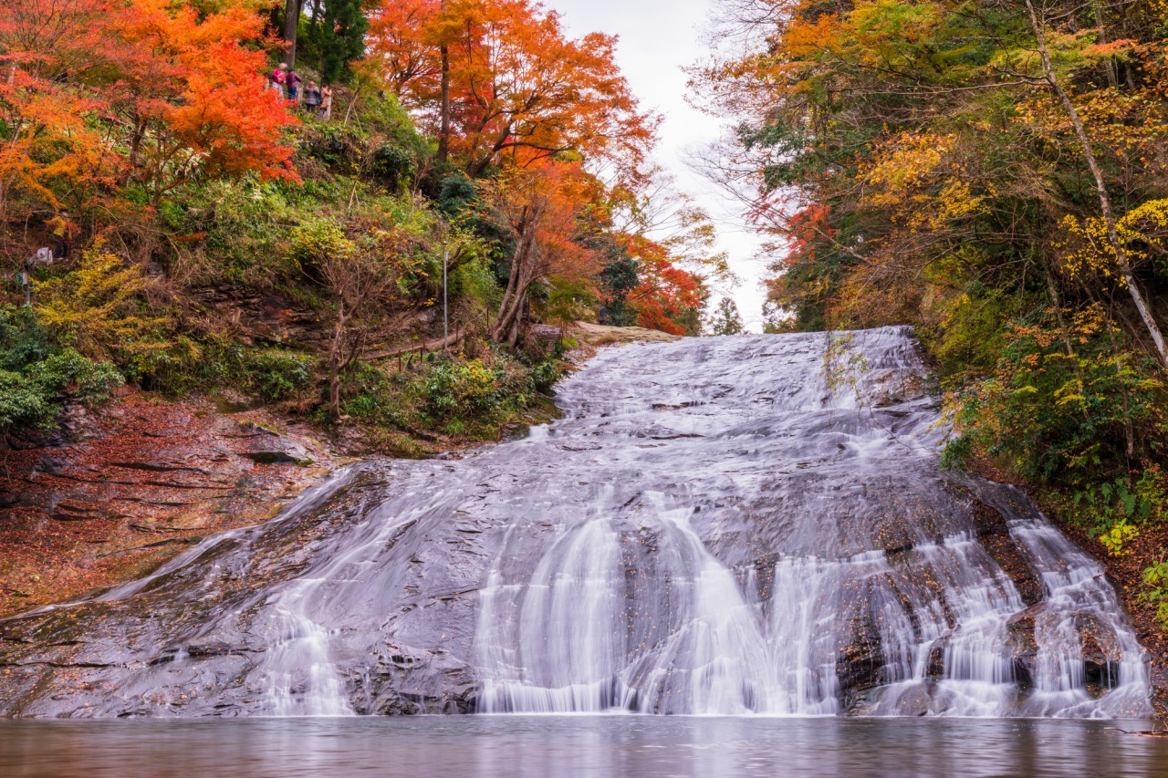 紅葉／粟又の滝