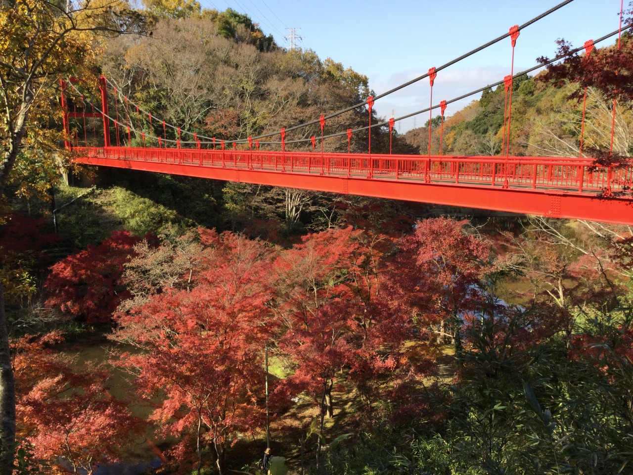 泉自然公園 もみじまつり／泉自然公園