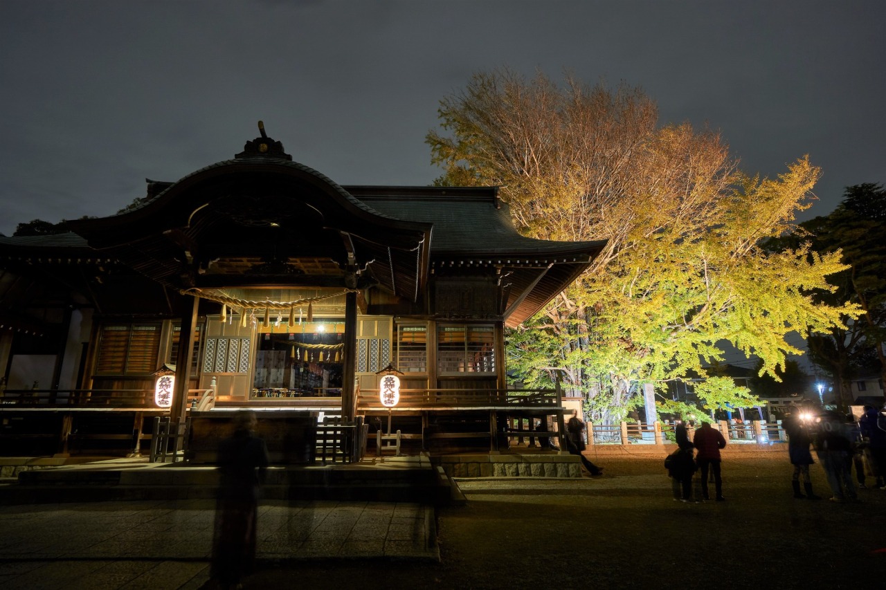 紅葉／葛飾八幡宮 参道｜イベント｜千葉県公式観光サイト ちば観光ナビ