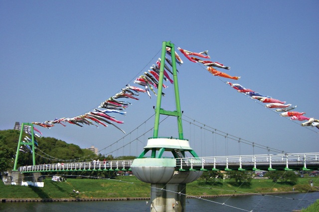 八千代ふるさと親子祭「こいのぼり大遊泳」／新川ゆらゆら橋
