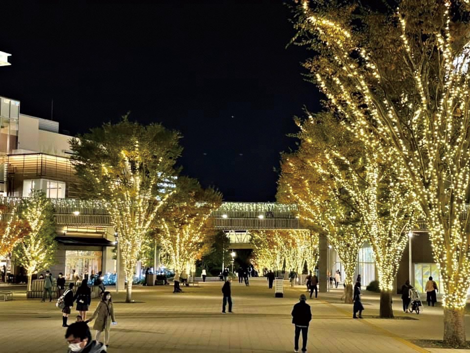 森のマルシェ・ド・ノエル／流山おおたかの森駅南口｜イベント｜千葉県