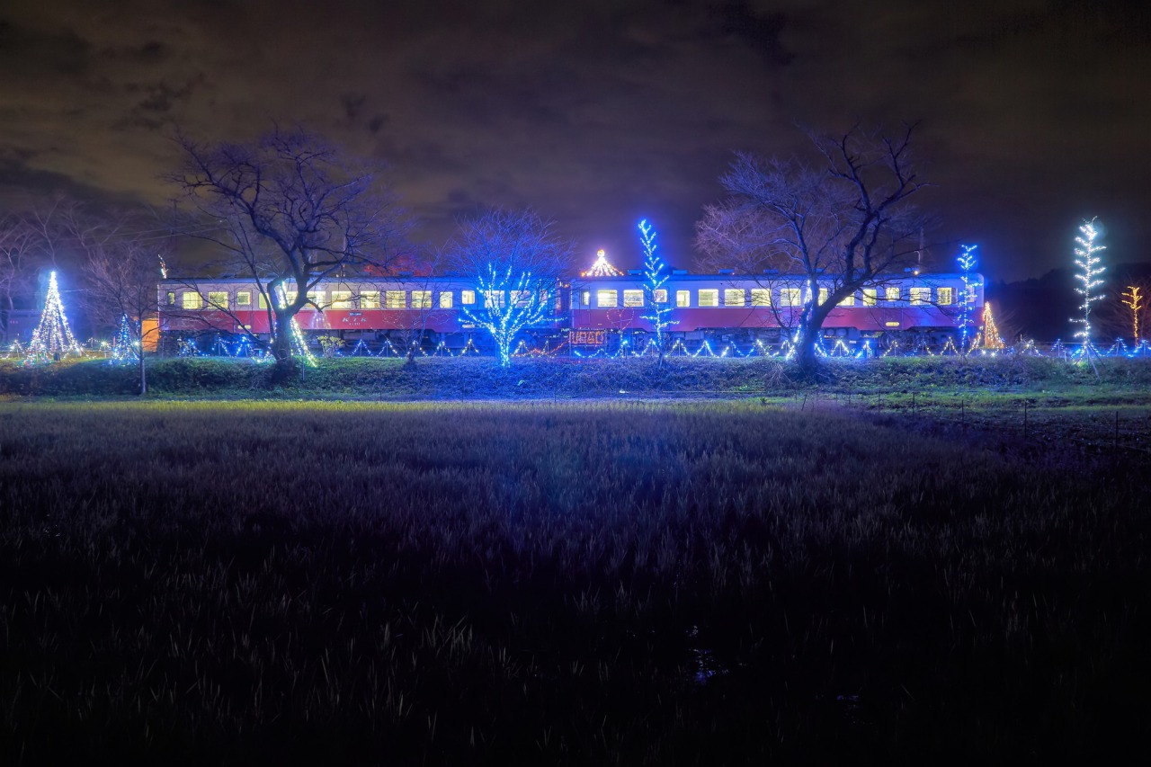 小湊鐵道 駅のイルミネーション／上総牛久駅～養老渓谷駅｜イベント