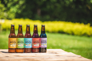 ハーヴェスト・ムーン定番5銘柄