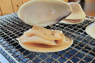 焼き蛤本貝