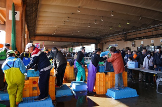 銚子港水産まつり 鮮魚つかみ取り