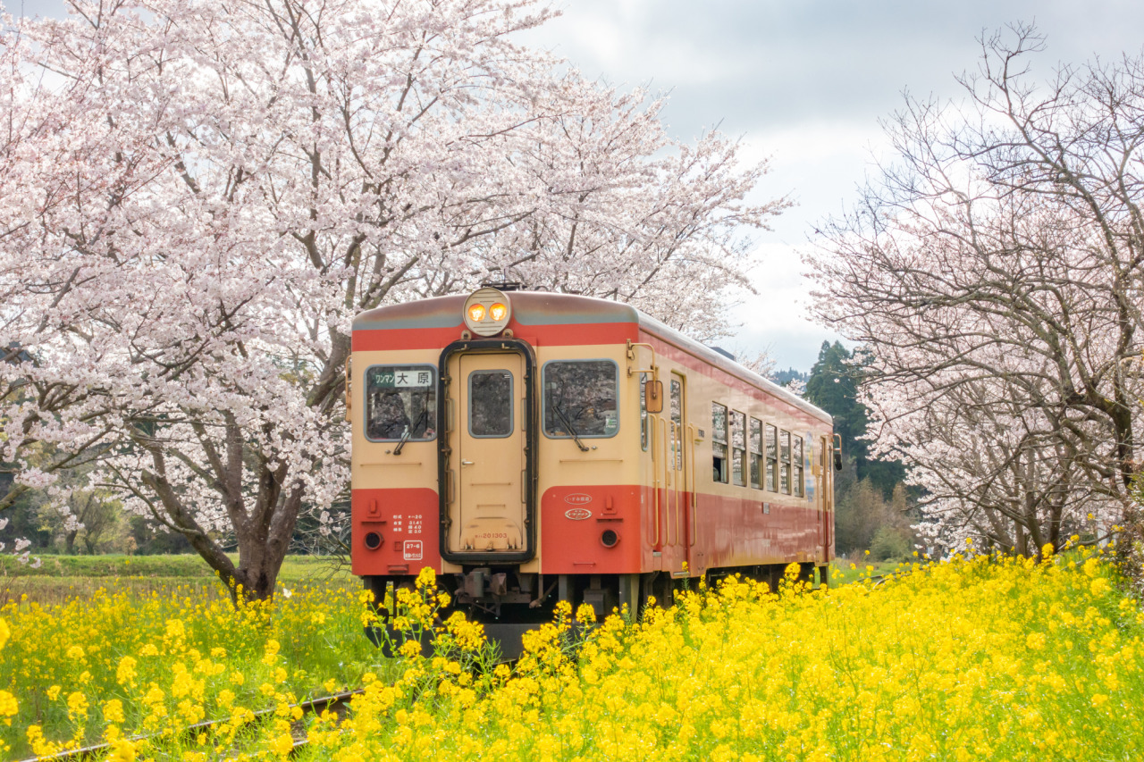 いすみ鉄道｜スポット・体験｜千葉県公式観光サイト ちば観光ナビ