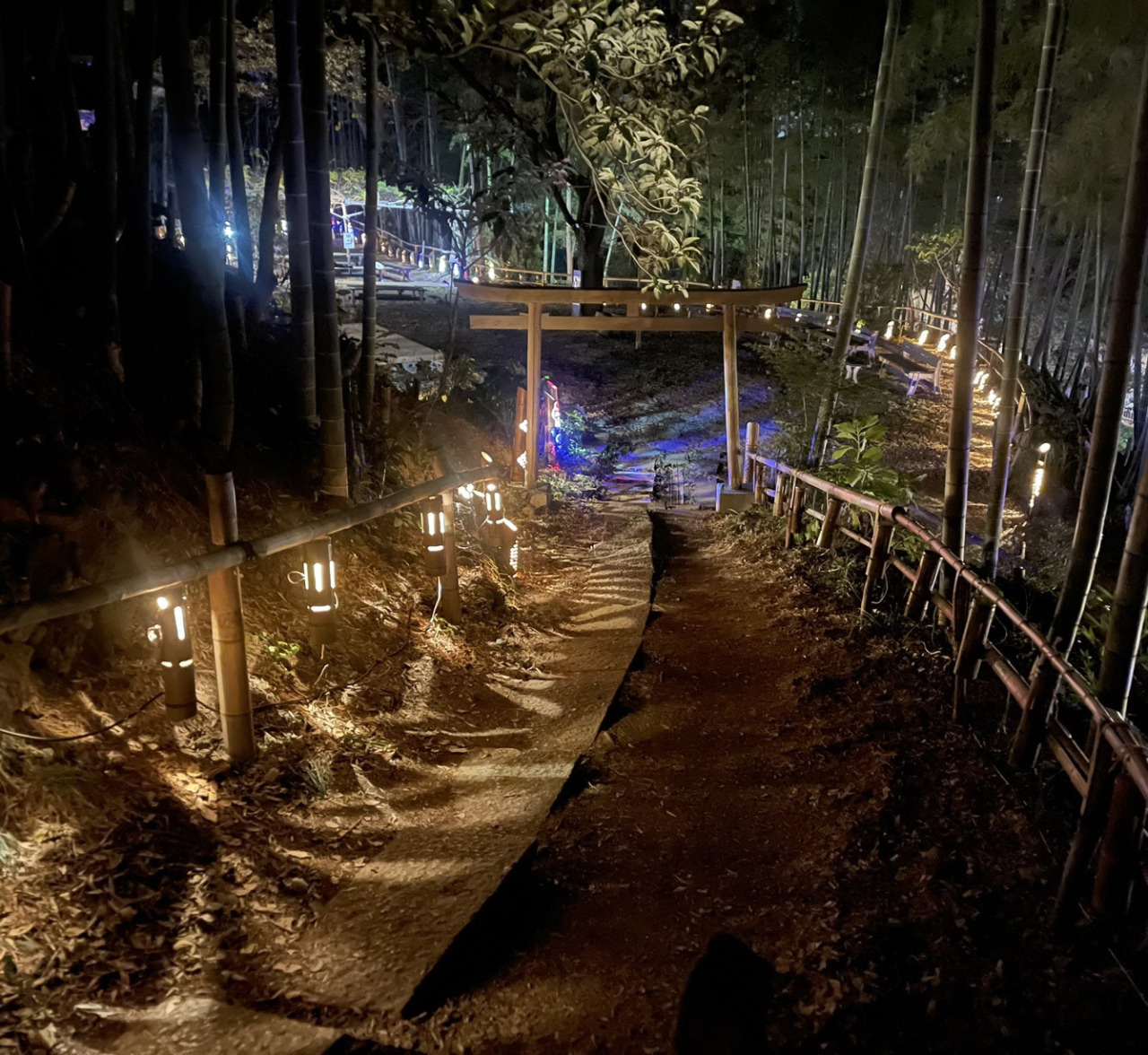 第16回滝前不動新春竹宵／滝前不動