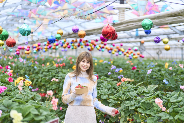 オズの国のストロベリーハント／京成バラ園