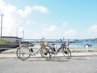 電動アシスト付き自転車
