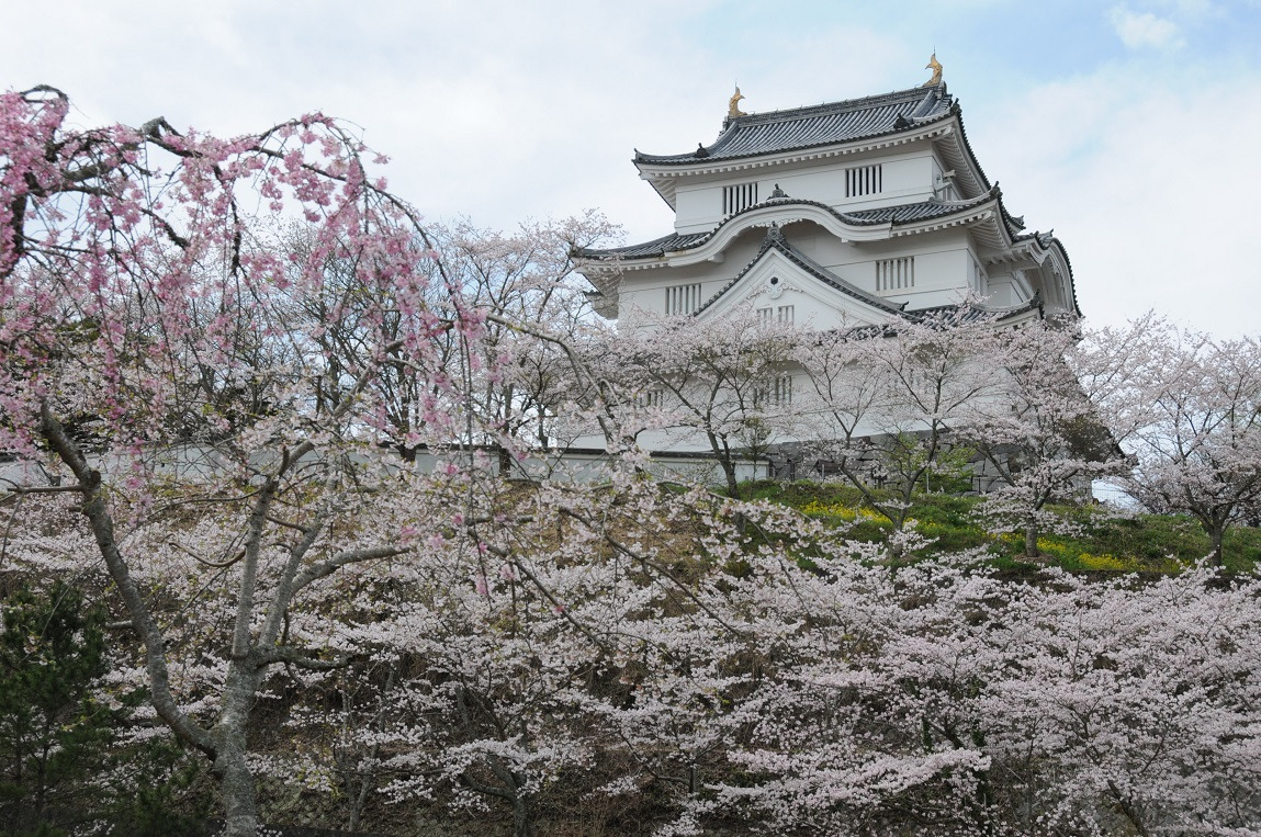 春の大多喜へぜひお越しください！