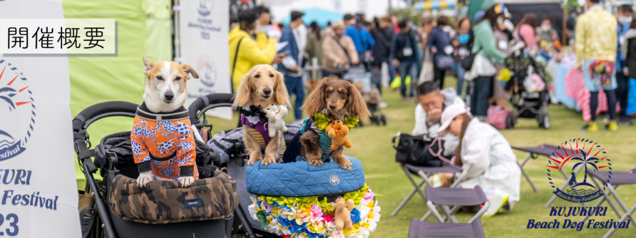 九十九里ビーチドッグフェスティバル2025／蓮沼海浜公園、中下海岸