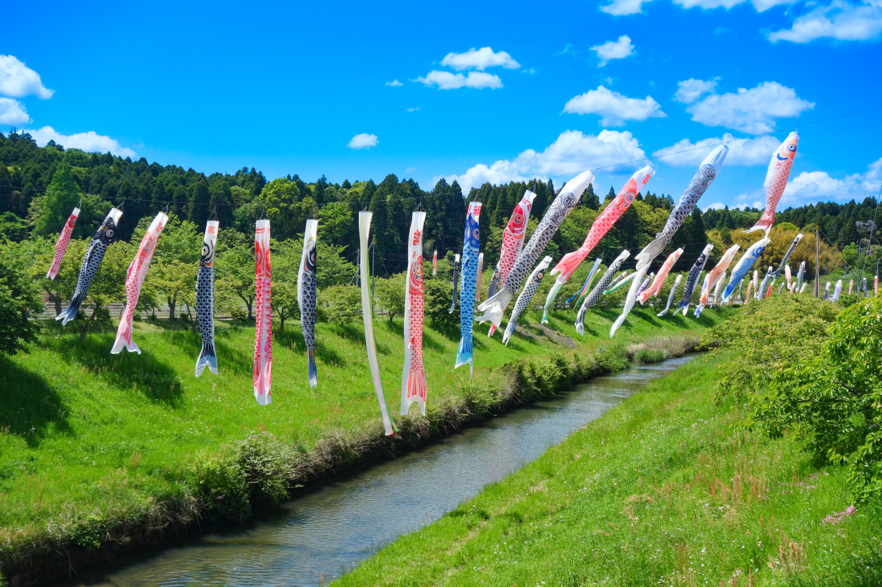 瀬又の鯉のぼり／君見川橋・瀬又橋・新瀬又橋