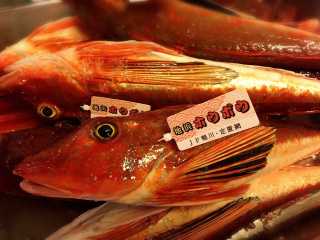 鴨川や館山から直送のお魚たち