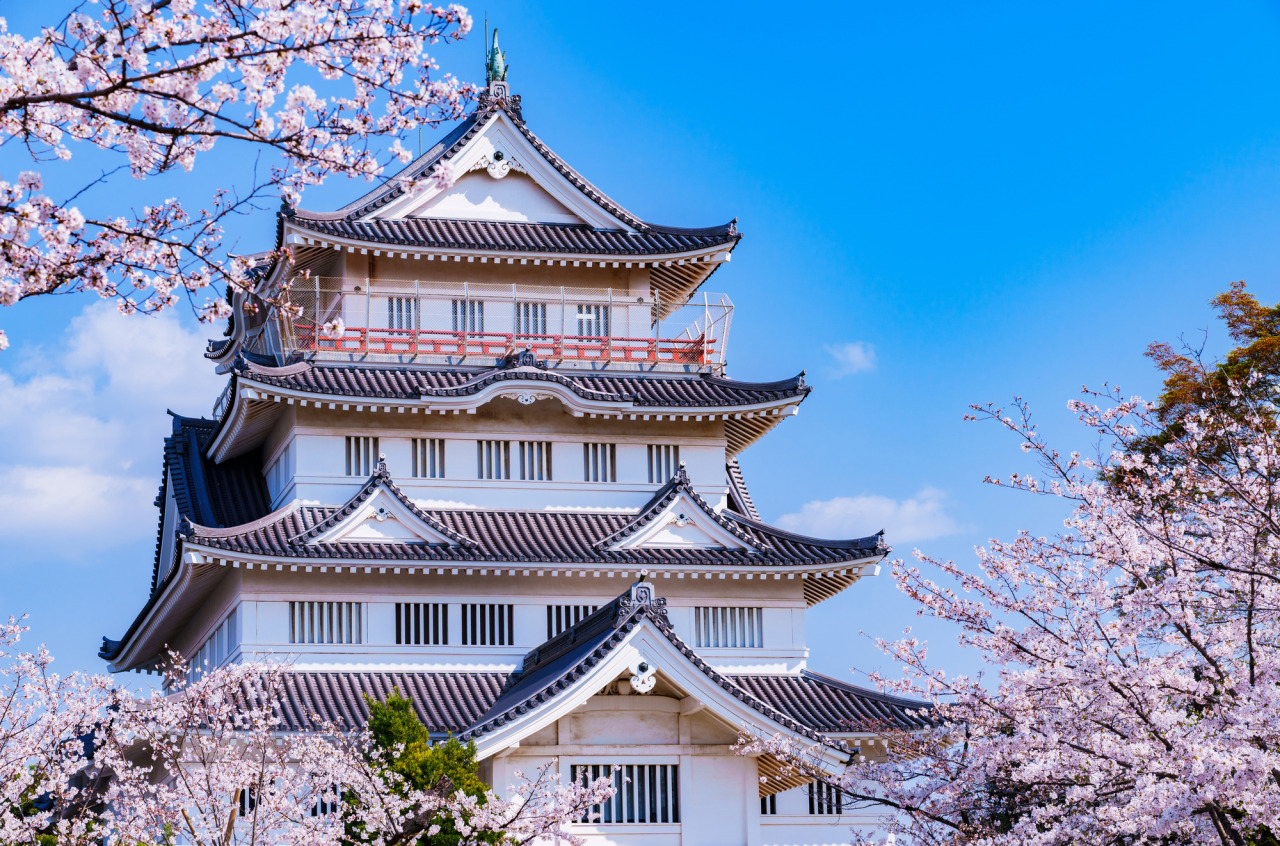 千葉開府900年記念 第25回千葉城さくら祭り／亥鼻公園