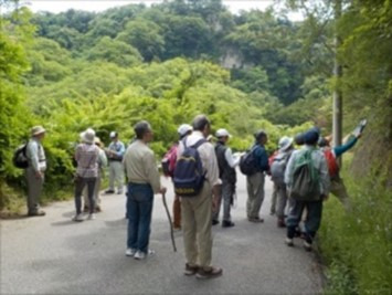 新緑の森をゆっくり歩こう